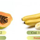 Toffy Fruit