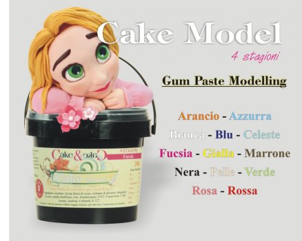 CAKE MODEL